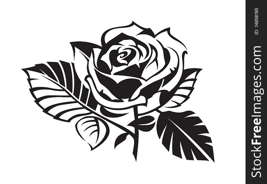 Silhouette of a black roses on a white background