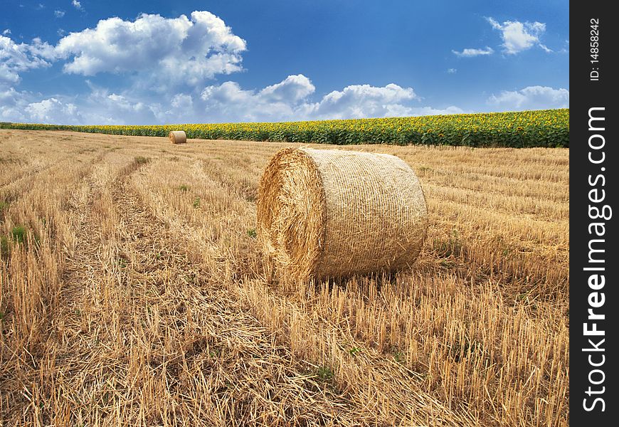 Big balls of straw in a meadow