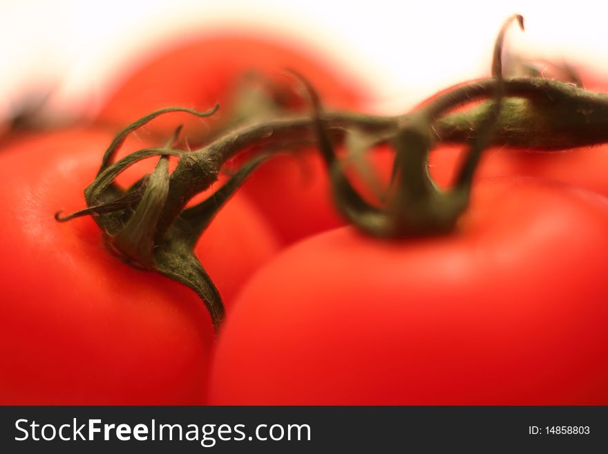 Macro of fresh tomatos with branch on white background. Macro of fresh tomatos with branch on white background