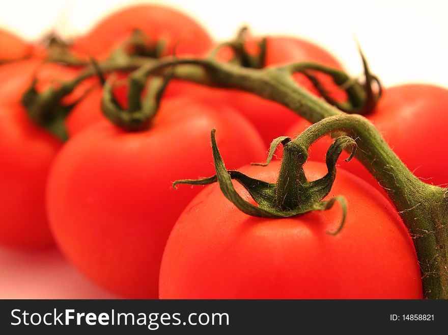 Close-up of fresh tomatos with branch on white background. Close-up of fresh tomatos with branch on white background
