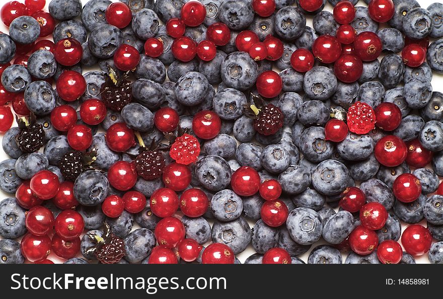 Mix of berry fruits - full frame