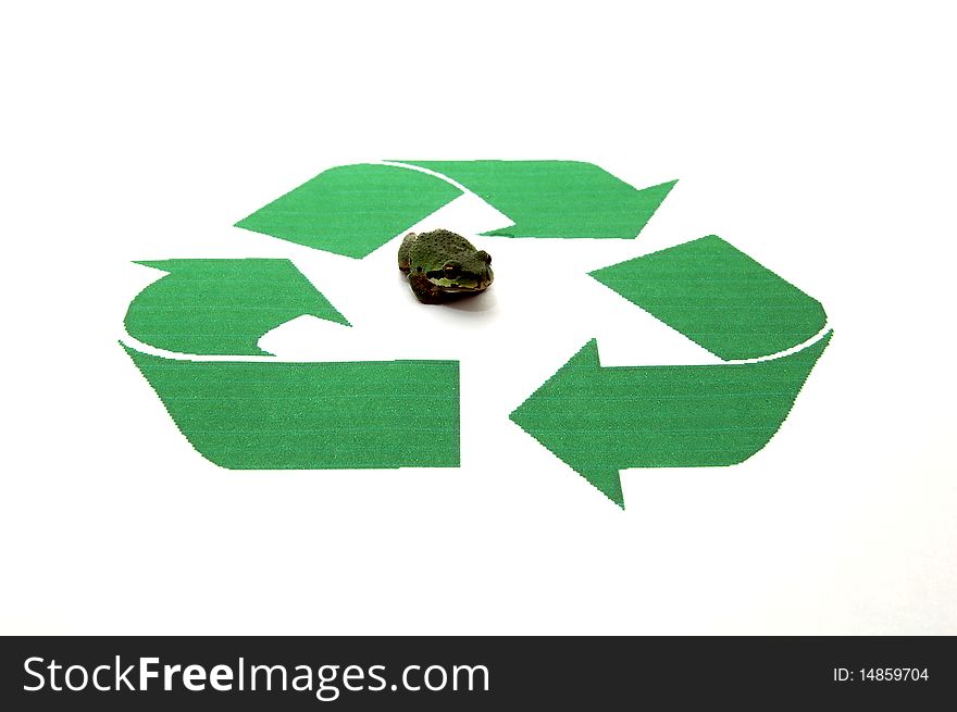 Recycling Frog