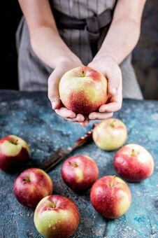 Girl Hands Hold An Apple On A Dark Blue Background. Autumn Harvest Royalty Free Stock Photography