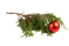Christmas Tree And Red Christmas Ball Stock Photography Christmas Tree And Red Christmas Ball Stock Photography