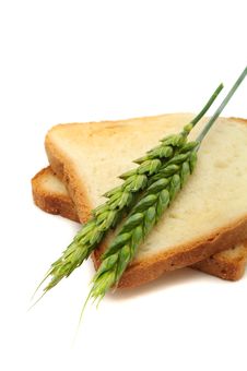 Wheat Toasts With Ears Royalty Free Stock Image Wheat Toasts With Ears Royalty Free Stock Image