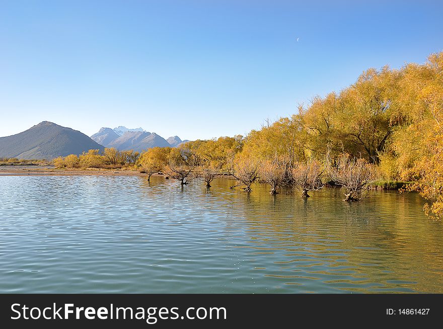 Rural scenery of the blue sky and beautiful trees with reflection on the lake. Rural scenery of the blue sky and beautiful trees with reflection on the lake.