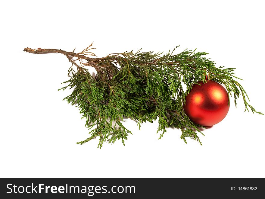 Christmas tree and red Christmas ball