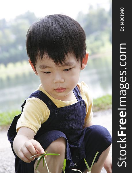 A curious Asian boy having a look at some grass. A curious Asian boy having a look at some grass