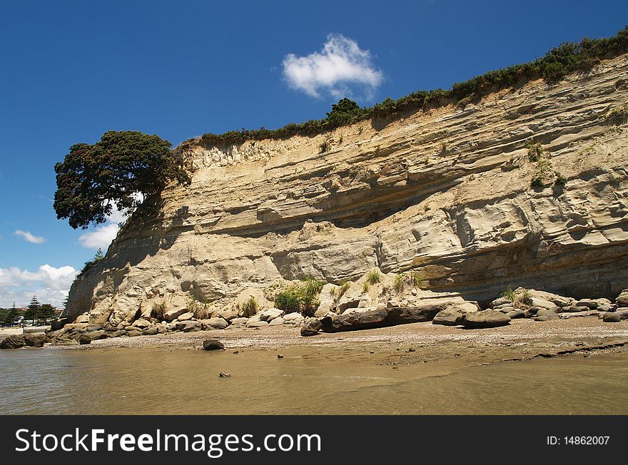 Eastern beach, Auckland, New Zealand