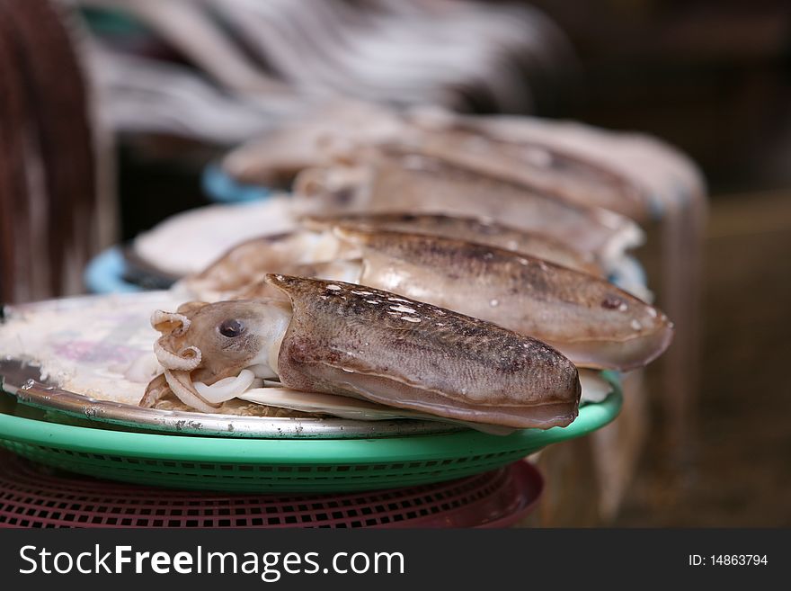 The fish market in South Korea, Busan Jagalchi street