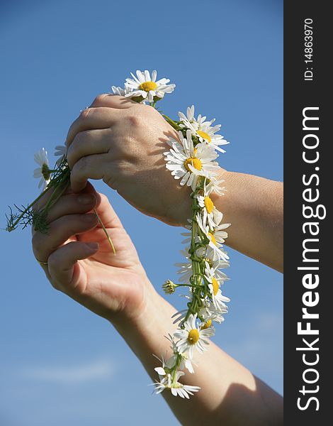 Woman hands are making chamomile garland on sky background. Woman hands are making chamomile garland on sky background