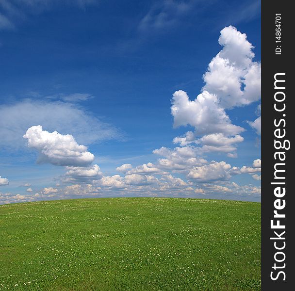 Color photo of a field with grass and sky with clouds. Color photo of a field with grass and sky with clouds