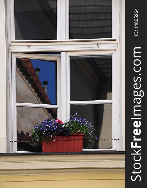 Window,flowers and reflection Prague Czech. Window,flowers and reflection Prague Czech