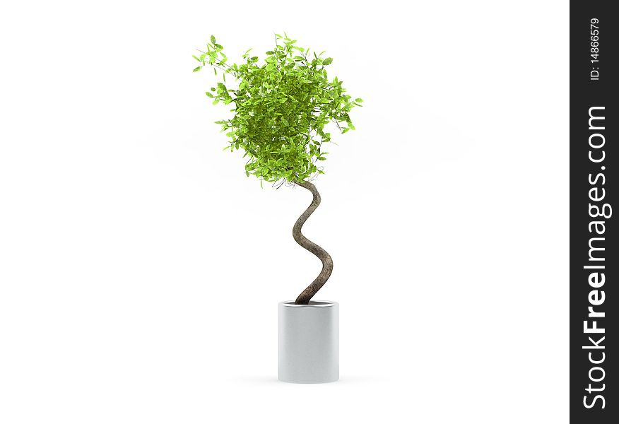 Small Fresh Decorative Green Tree Isolated