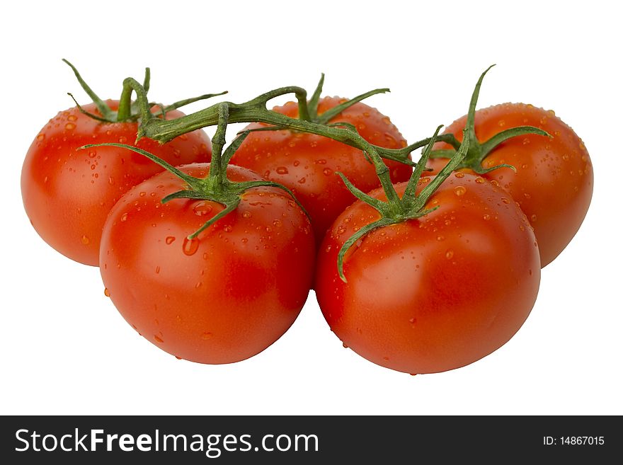 Red tomatoes on the vine on white background with clipping path. Red tomatoes on the vine on white background with clipping path