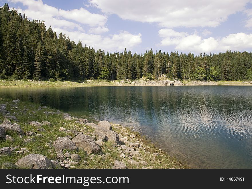 Beautiful mountain forest and lake as natural background. Beautiful mountain forest and lake as natural background