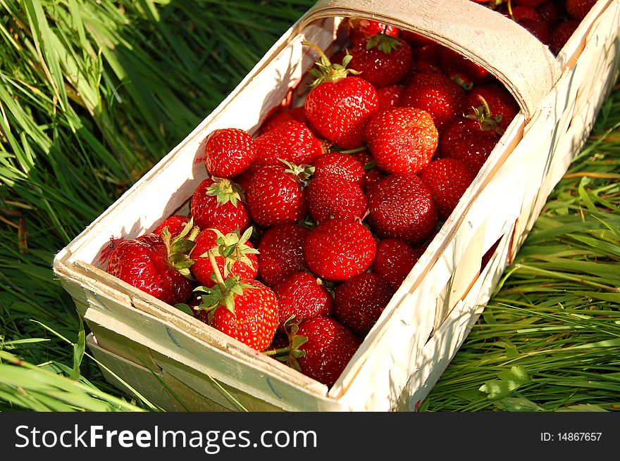 Strawberries in a punnet on the grass
