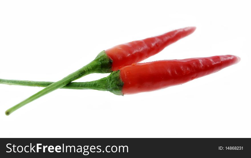 Asia hot chili for cooking. Asia hot chili for cooking