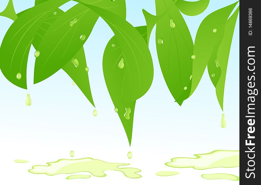 Leaf after rain,  illustration, AI file included