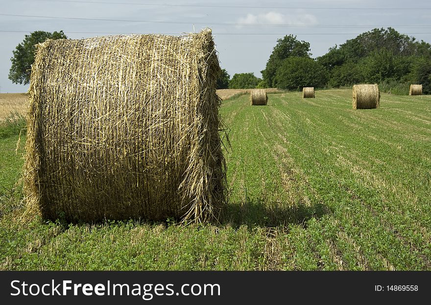 Hay bales in a field.