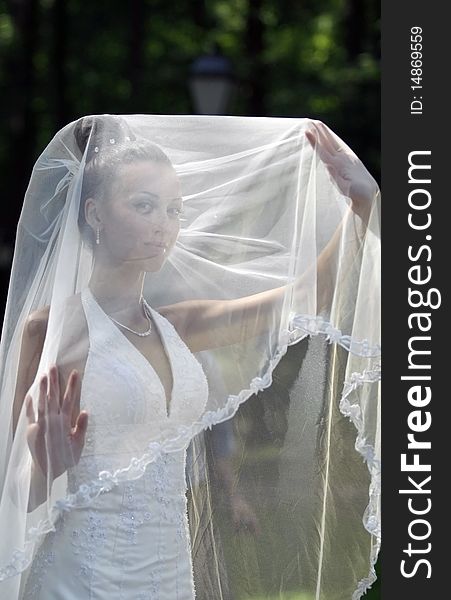 The beautiful bride in a white wedding dress. The beautiful bride in a white wedding dress