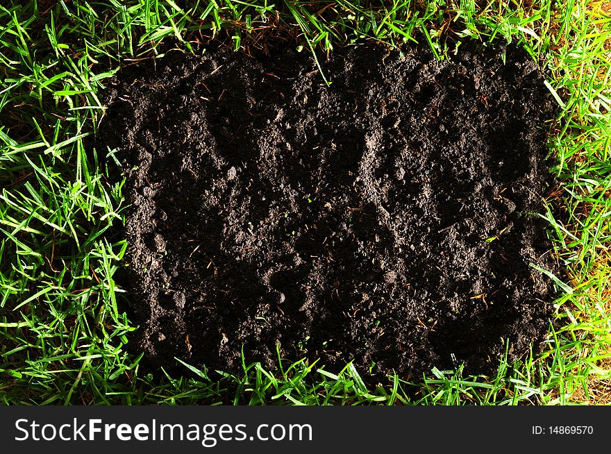 Bright grass with black soil. Bright grass with black soil.