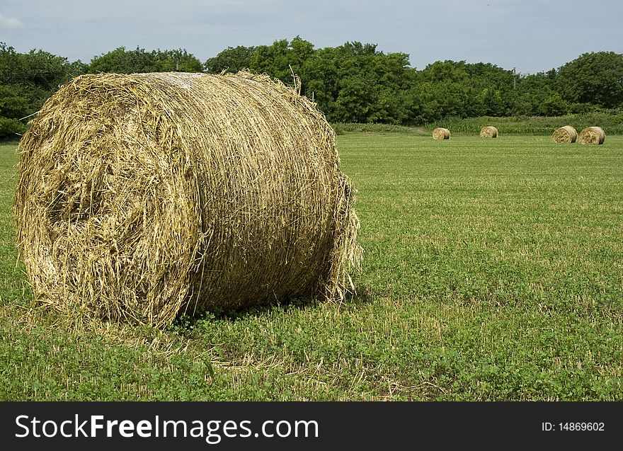 Agricultural landscape of hay bales in a field.