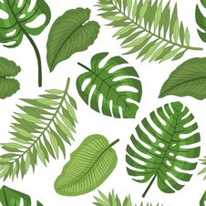 Seamless Pattern From Tropical Leaves Royalty Free Stock Photo