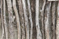 Stick Fence Royalty Free Stock Photos Stick Fence Royalty Free Stock Photos