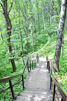 Stairs In The Woods Royalty Free Stock Photography Stairs In The Woods Royalty Free Stock Photography