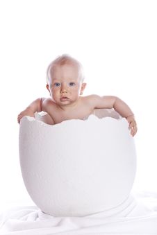 Baby Boy In Egg On White Royalty Free Stock Photos