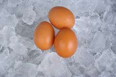 Boiled Or Raw Egg Royalty Free Stock Photo