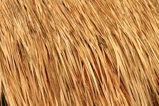 Straw Roof Stock Photo Straw Roof Stock Photo