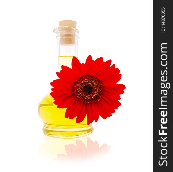 Jug with vegetable oil with a red gerbera