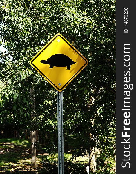 Warning For Turtle S Crossing.