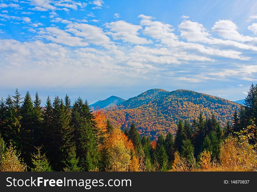 Scenic view of forest on mountainside with cloudscape in background. Scenic view of forest on mountainside with cloudscape in background
