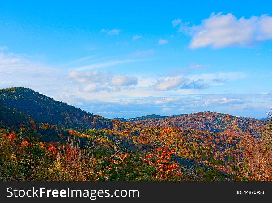 Scenic view of forest on mountainside with cloudscape in background. Scenic view of forest on mountainside with cloudscape in background