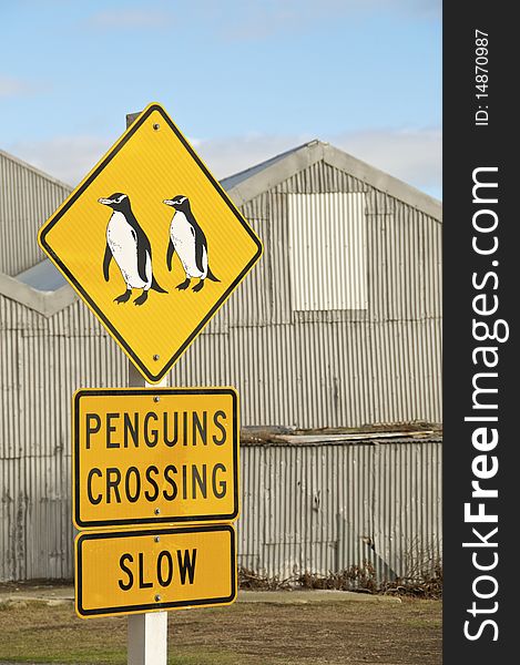 A Penguins Crossing Sign in Oamaru, New Zealand. A Penguins Crossing Sign in Oamaru, New Zealand