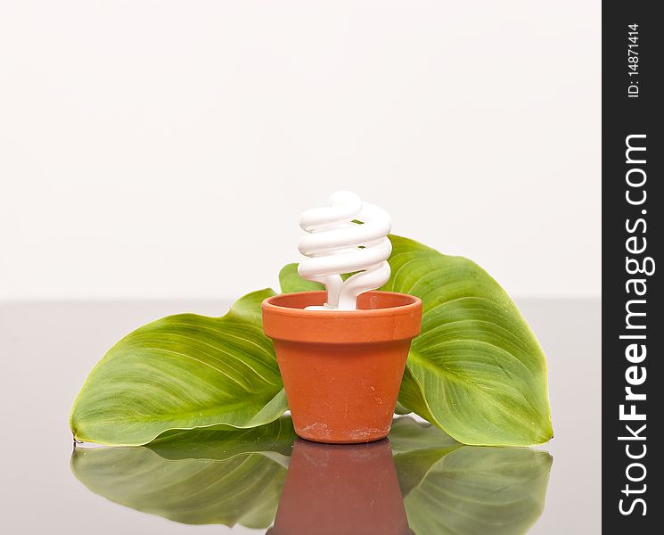 Light-bulb planted in a flower pot. Light-bulb planted in a flower pot