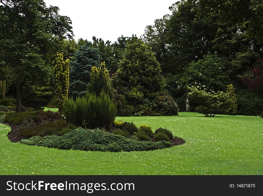 Parkland With Lawn