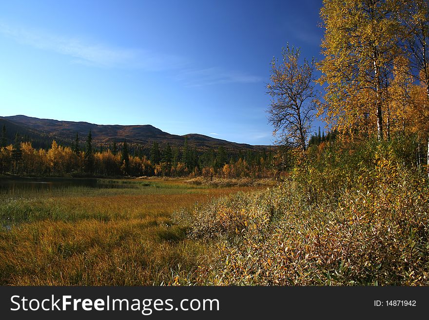 Beautiful autumn landscape in mountain