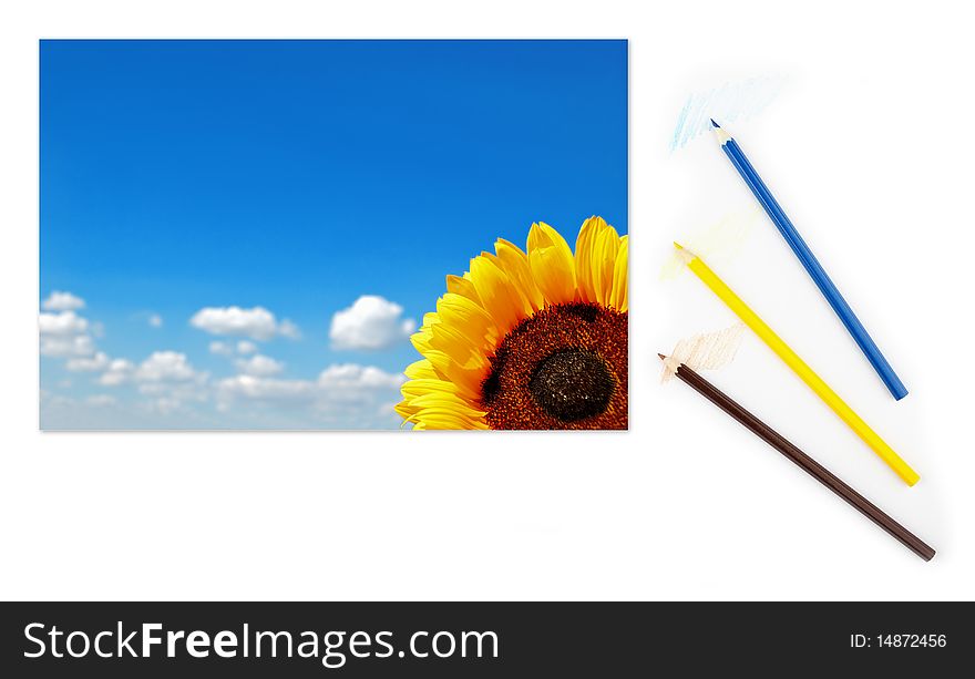 Image of sunflower with picturesque cloudy blue sky on a piece of paper with color pencils. Image of sunflower with picturesque cloudy blue sky on a piece of paper with color pencils