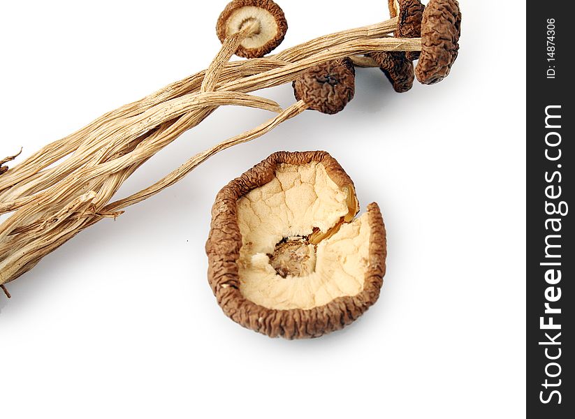 An image showing some dried oriental willow mushrooms, or brown tea tree mushrooms. Popularly used in chinese eastern cuisine, for stew, soups or salads. Vertical color format. Fragrant and exquisite flavor. Healthy food, high in protein and low in fat.