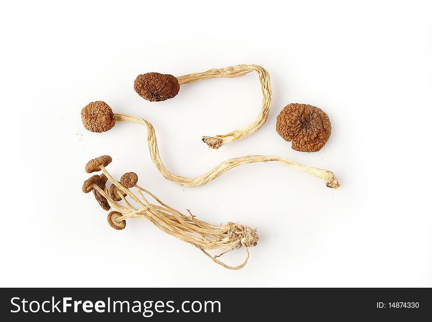 An image showing some dried oriental willow mushrooms, or brown tea tree mushrooms. Popularly used in chinese eastern cuisine, for stew, soups or salads. Vertical color format. Fragrant and exquisite flavor. Healthy food, high in protein and low in fat.