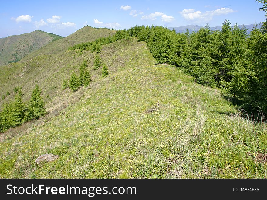 The summer scenery of Wutai Mountain, Shanxi, China. Mount Wutai is one of the most famous Buddhist spots. The summer scenery of Wutai Mountain, Shanxi, China. Mount Wutai is one of the most famous Buddhist spots.