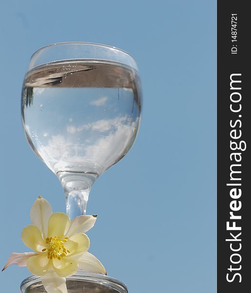 Glass in which pure water from a bottle against the blue sky and yellow flower. Glass in which pure water from a bottle against the blue sky and yellow flower