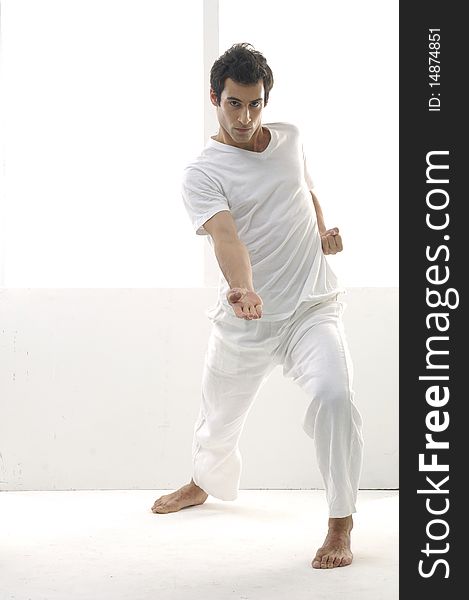 Portrait of a styled professional model does taekwondo. Portrait of a styled professional model does taekwondo