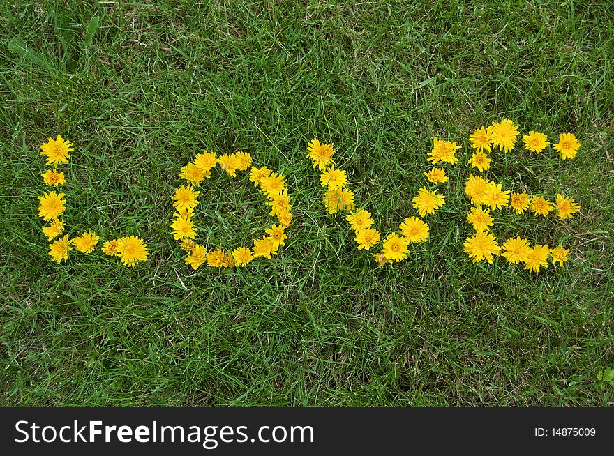 Love written in yellow dandelion flowers on green grass with background copyspace below. Love written in yellow dandelion flowers on green grass with background copyspace below