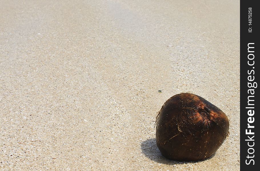 Coconut made a sea of sand on the beach. Coconut made a sea of sand on the beach