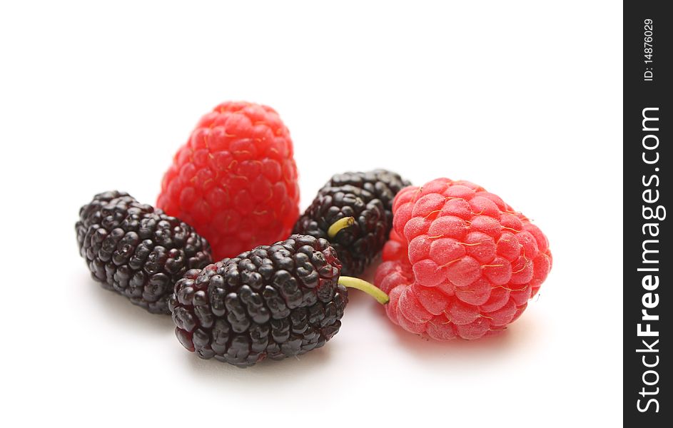 Sweet isolated berries: ripe raspberries and mulberries. Sweet isolated berries: ripe raspberries and mulberries